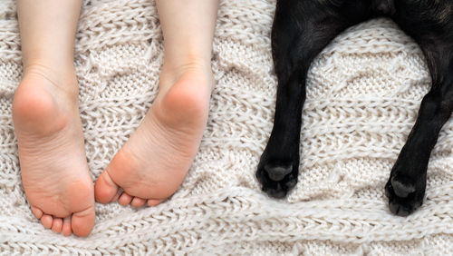 愛犬の肉球(後ろ足)のマッサージ②【肥満・代謝促進】