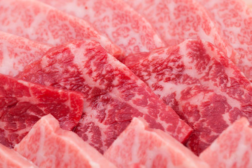愛犬に牛肉を与える際には「脂」の固まりに要注意!