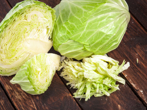 食べて大丈夫な野菜⑥【キャベツ】