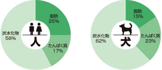そもそも犬と人間が必要とする食べ物は違う