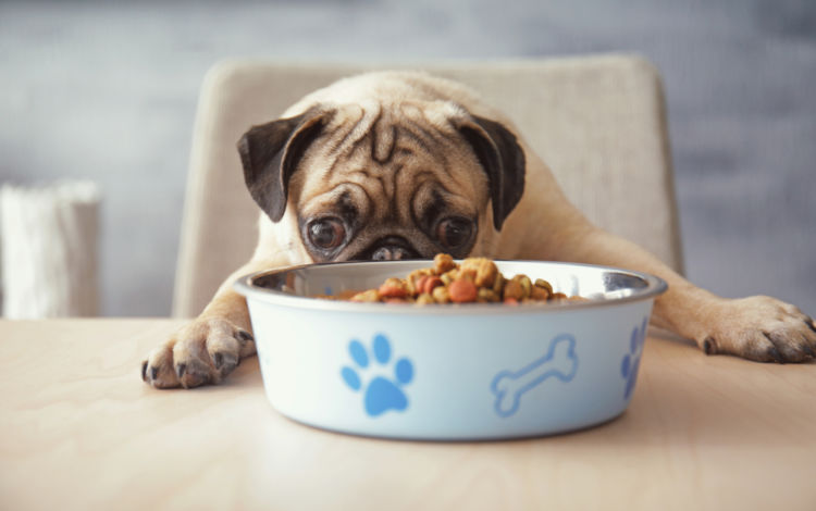 偏食や少食