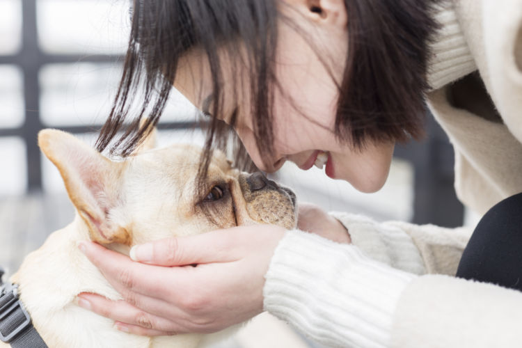 犬の顎骨骨折(がくこつこっせつ)【まとめ】