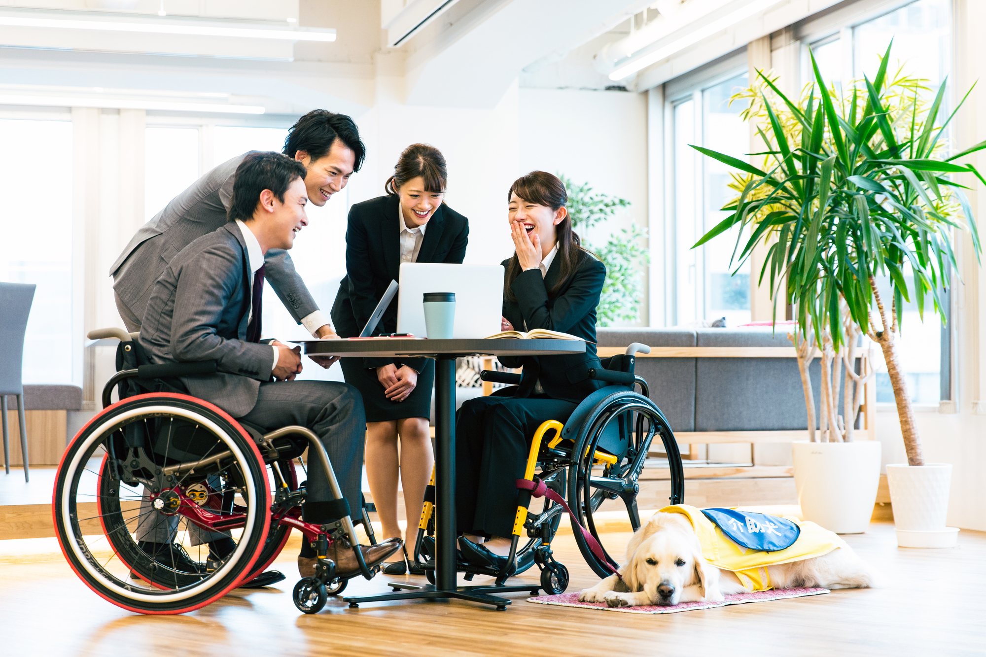 【2026年7月施行】障害者雇用納付金とは｜法定雇用率2.7%引上げと不足1人月5万円の計算を弁護士解説というタイトルの記事のサムネイル画像