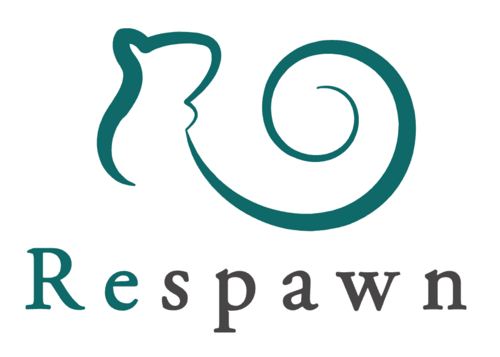 Respawn