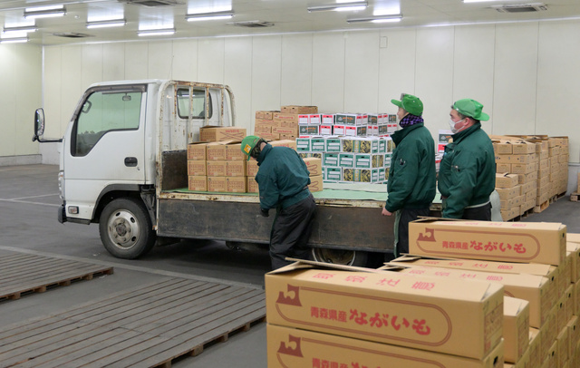 【2027卒高校卒】青果市場での物流管理スタッフ