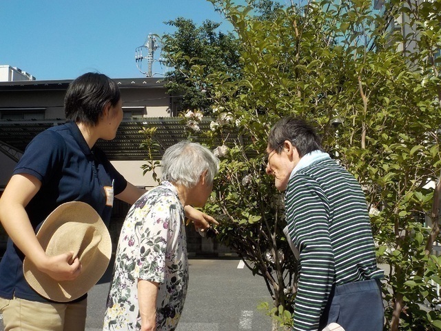 小規模多機能ホーム/グループホームいずれかで介護スタッフ：リーダー候補・正社員【ふれあい多居夢 蕨】