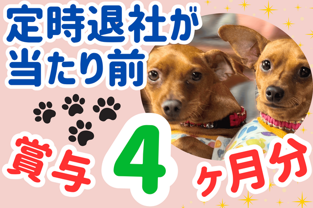 定時退社が当たり前！賞与4ヶ月！安定×高収入！看護師