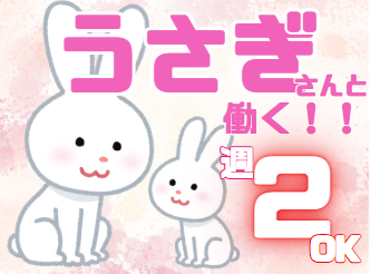 週2日～OK！午前のみ・午後のみの勤務可！賞与あり！介護スタッフ