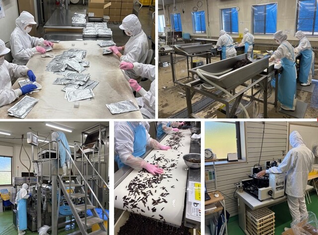 【長野工場】製造スタッフ／準社員