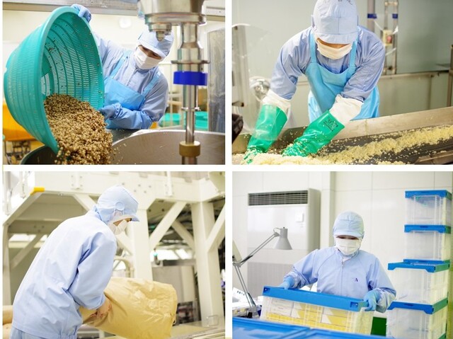 製造スタッフ／一般職