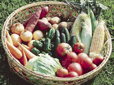 オーガニック食品の仕分け・梱包スタッフ