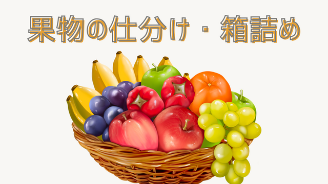 スピード採用！果物の仕分け・箱詰め/かんたん軽作業♪