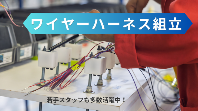 スピード採用！ワイヤーハーネスの組立/未経験OK！安定ワーク