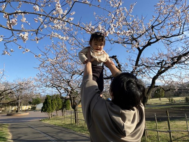 大型車・増トン車での配送ドライバー