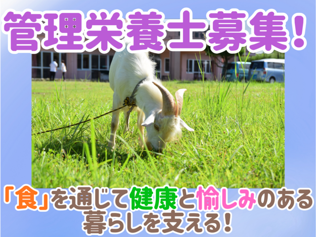 管理栄養士／食を通じてご利用者の暮らしを支えるお仕事♪