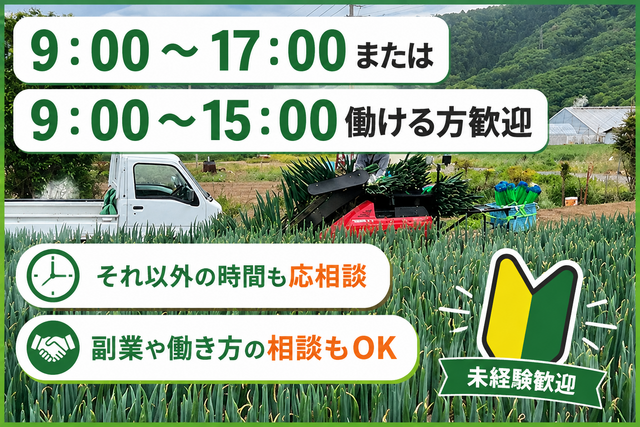 ネギなどの農業作業スタッフ