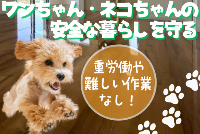 ペットの足腰を守るフロアコーティングの施工スタッフ