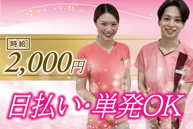 新規作成／軽作業スタッフ