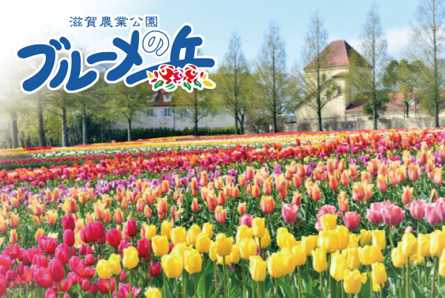 「GW短期4月25日～5月6日」農業公園テーマパークSTAFF大募集！／年齢不問！高校生～シニアまで大歓迎！