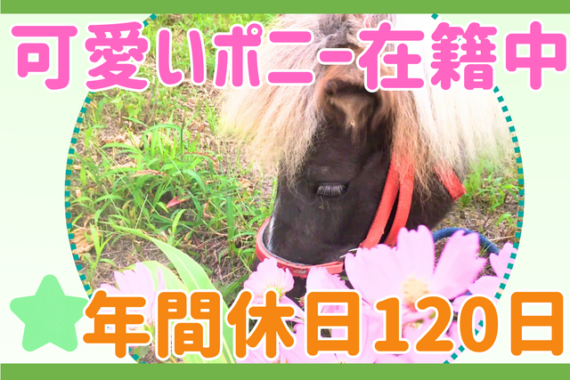 賞与3.5ヶ月♪年間休日120日♪ポニーと癒しの介護現場で活躍！管理職候補