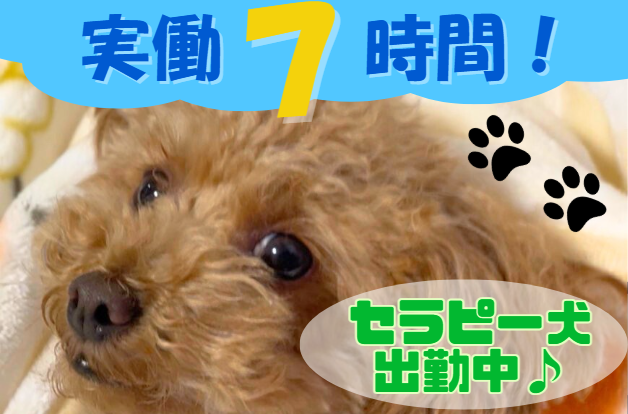 言語聴覚士（ST）／看板犬と働く！年間休日120日以上！1日7時間！直行直帰OK！