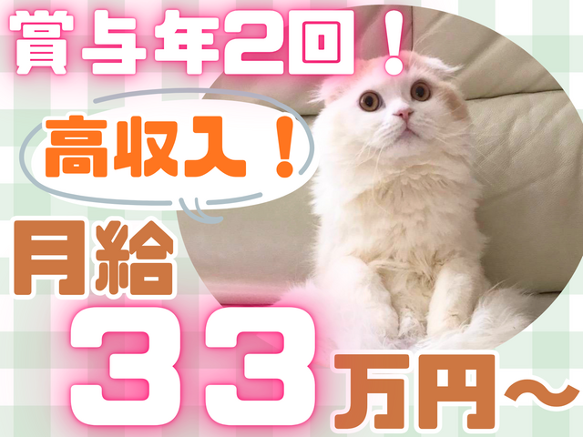 看護師／残業なし！夜勤相談OK！年収540万円以上も目指せる！