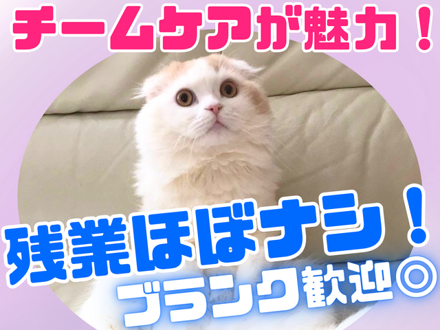 介護職／チームケアが魅力！複数人対応！未経験・ブランクがある方も歓迎！
