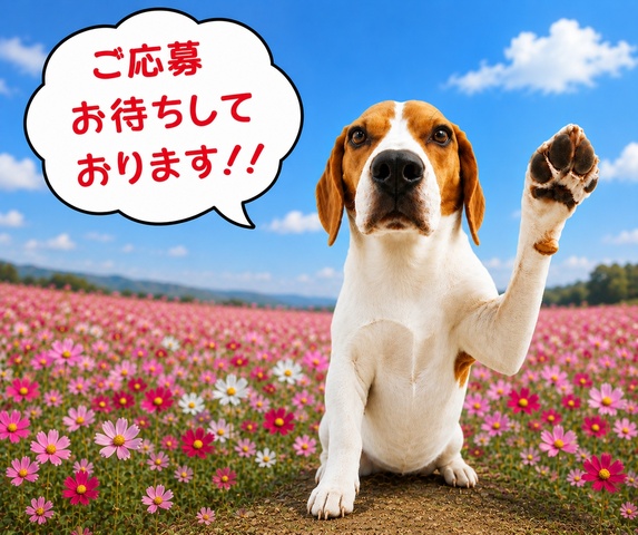 経理事務・総務事務・営業事務