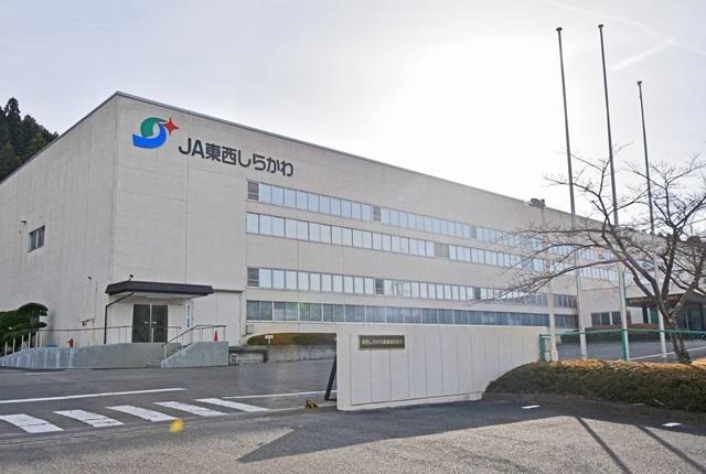 ＪＡ東西しらかわ本店での事務業務　臨時職員
