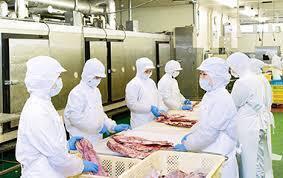 【未経験】上場食品メーカーの工場で軽作業【食品加工】