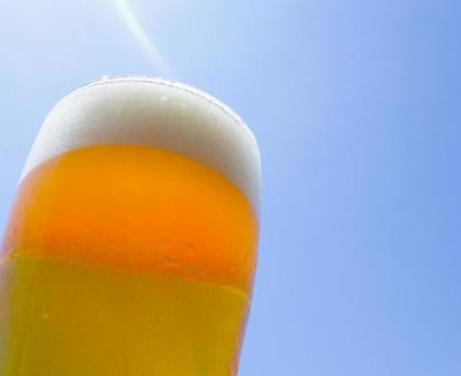 【店舗スタッフ】お酒や食への興味を活せる　:/bsBNIGITA_相模原