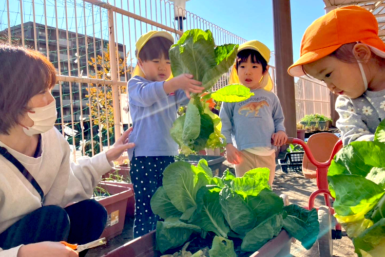 「見守る保育」で子どもの気持ちに寄り添う