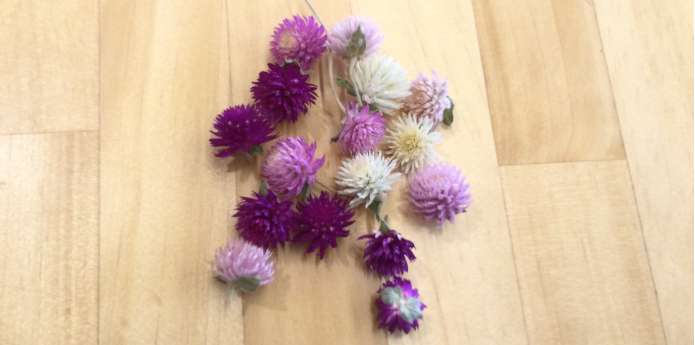 子どもの成長を間近に実感、やりがいと充実の毎日です