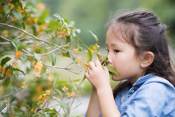 9月の4歳児の写真