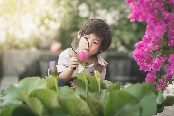 自然を観察する男の子の写真