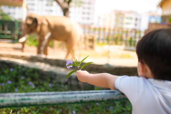 動物園にいる子ども