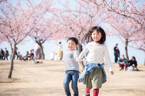 桜の木の近くを走っている子ども