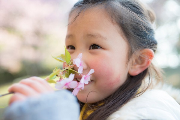 4月の4歳児の写真