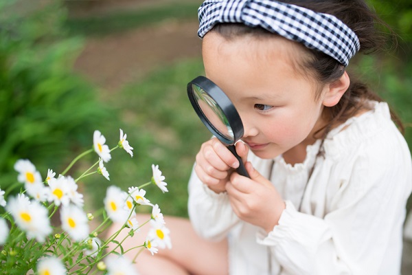 自然を観察する女の子の写真