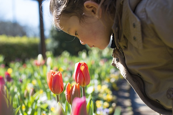 5月の4歳児の写真