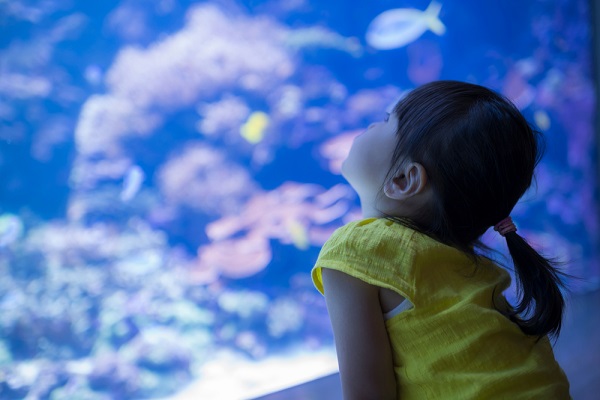 8月の3歳児の写真