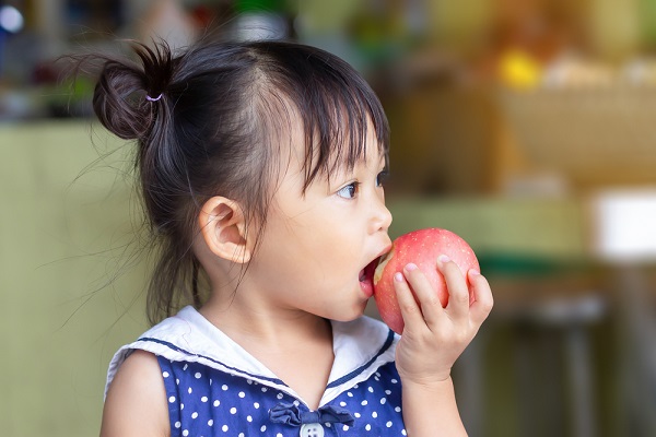 9月の2歳児の写真