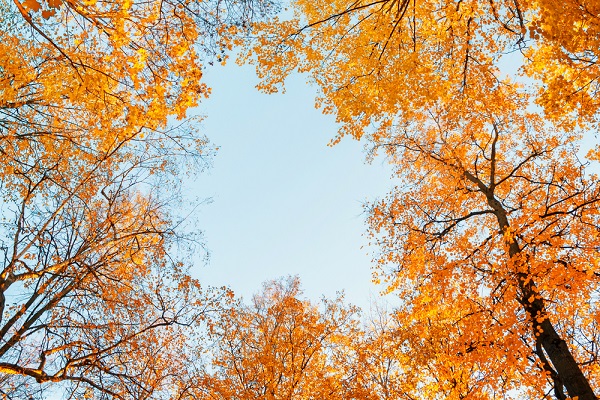 10月の写真