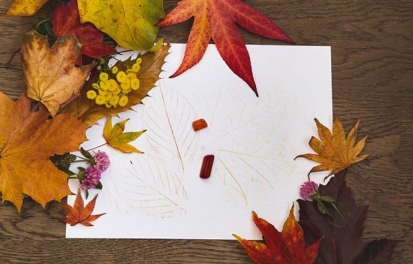 実習や保育に役立つ落ち葉遊び 戸外活動や室内の製作に活かせるアイデア12選 保育学生の就活お役立ちコラム 保育士就活バンク 実習や保育に役立つ落ち葉遊び 戸外活動や室内の製作に活かせるアイデア12選 保育学生の就活お役立ちコラム 保育士就活バンク