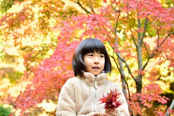 11月の4歳児の写真