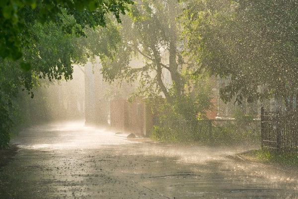 雨が降っている景色