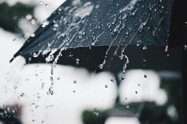 傘と雨