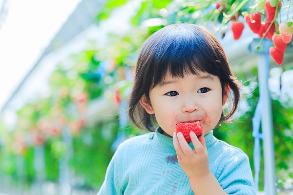 2月の2歳児の写真
