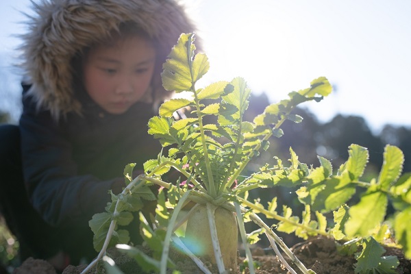2月の5歳児の写真