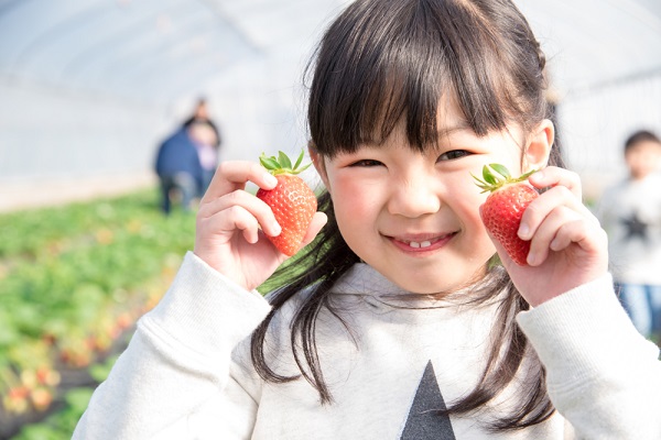 2月の4歳児の写真